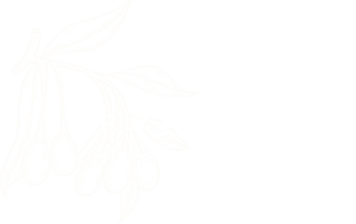 关于kb88凯时官网下载1.png