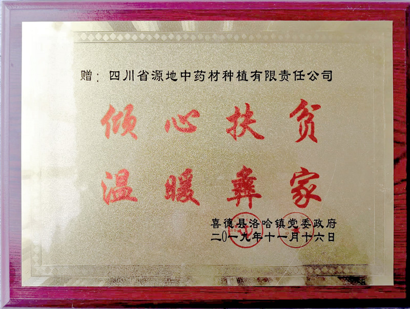 倾心扶贫，温暖彝家